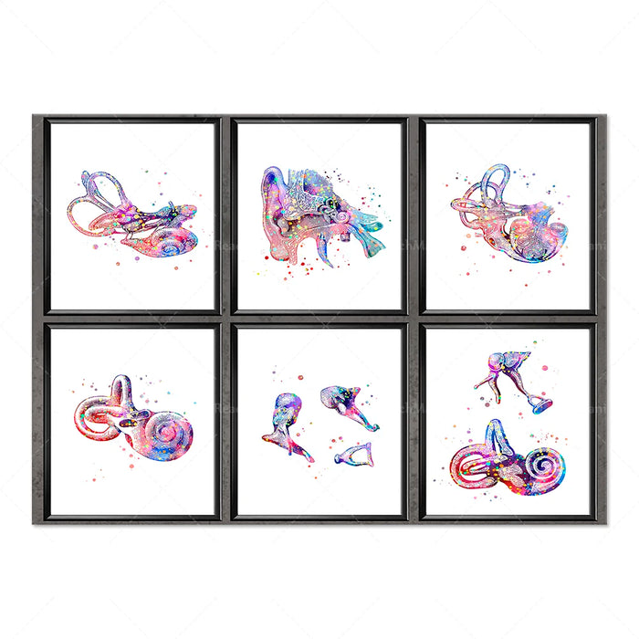 Cette image présente six illustrations aquarellées de créatures sous-marines aux formes et couleurs étonnantes, dans des cadres noirs.