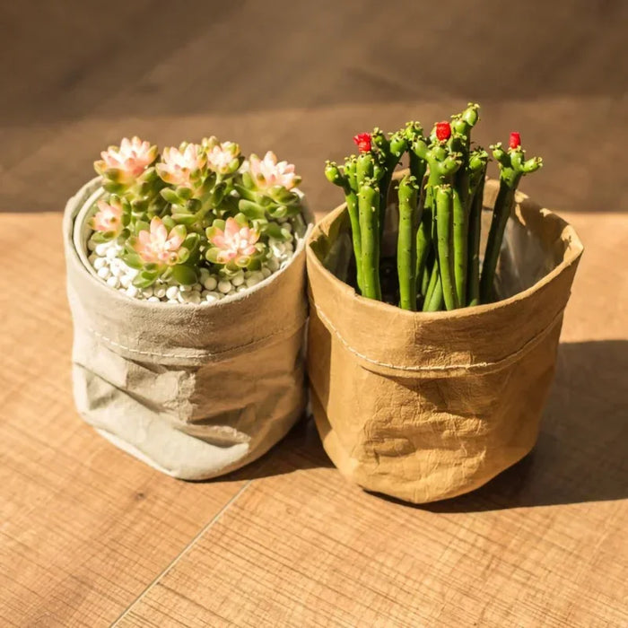 Cache pot en papier kraft lavable brun