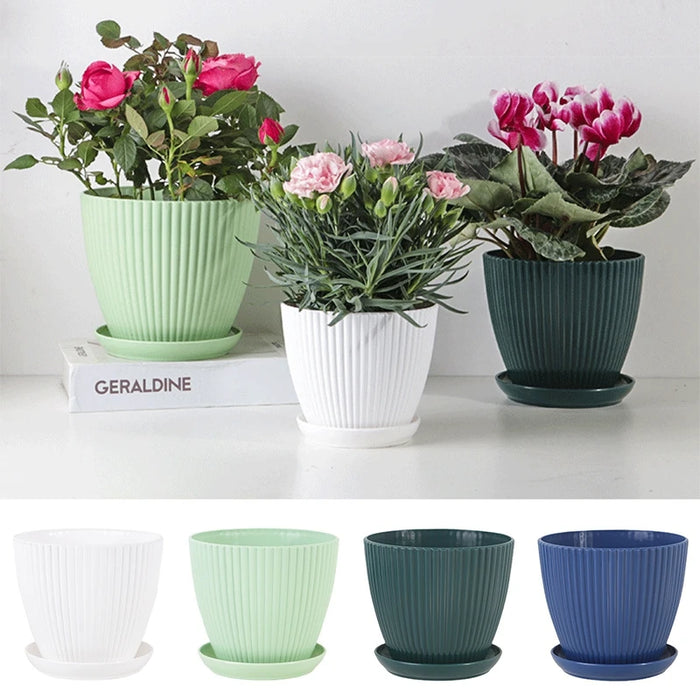 Cache-pot blanc moderne avec plateau pour plantes succulentes