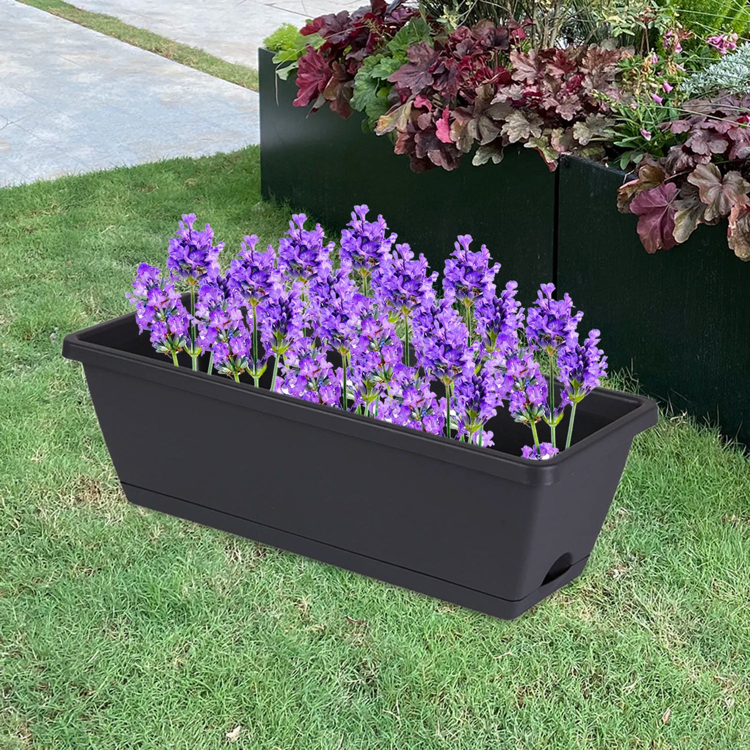 Jardinière de fenêtre verte avec herbes aromatiques en cuisine