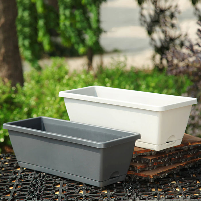 Jardinière de fenêtre gris clair avec plantes vertes sur rebord