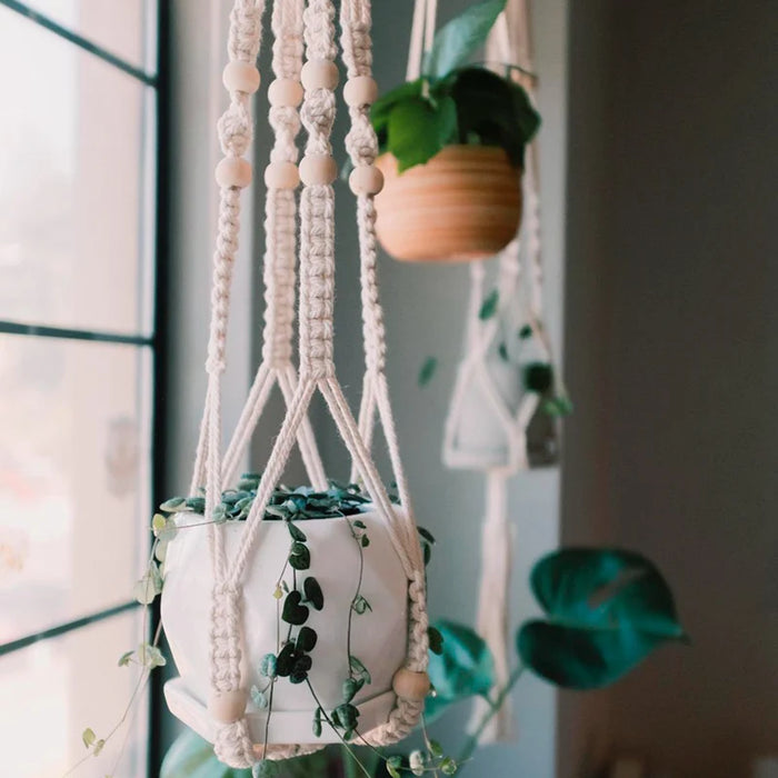 Pot suspendu en macramé gris foncé avec plante verte