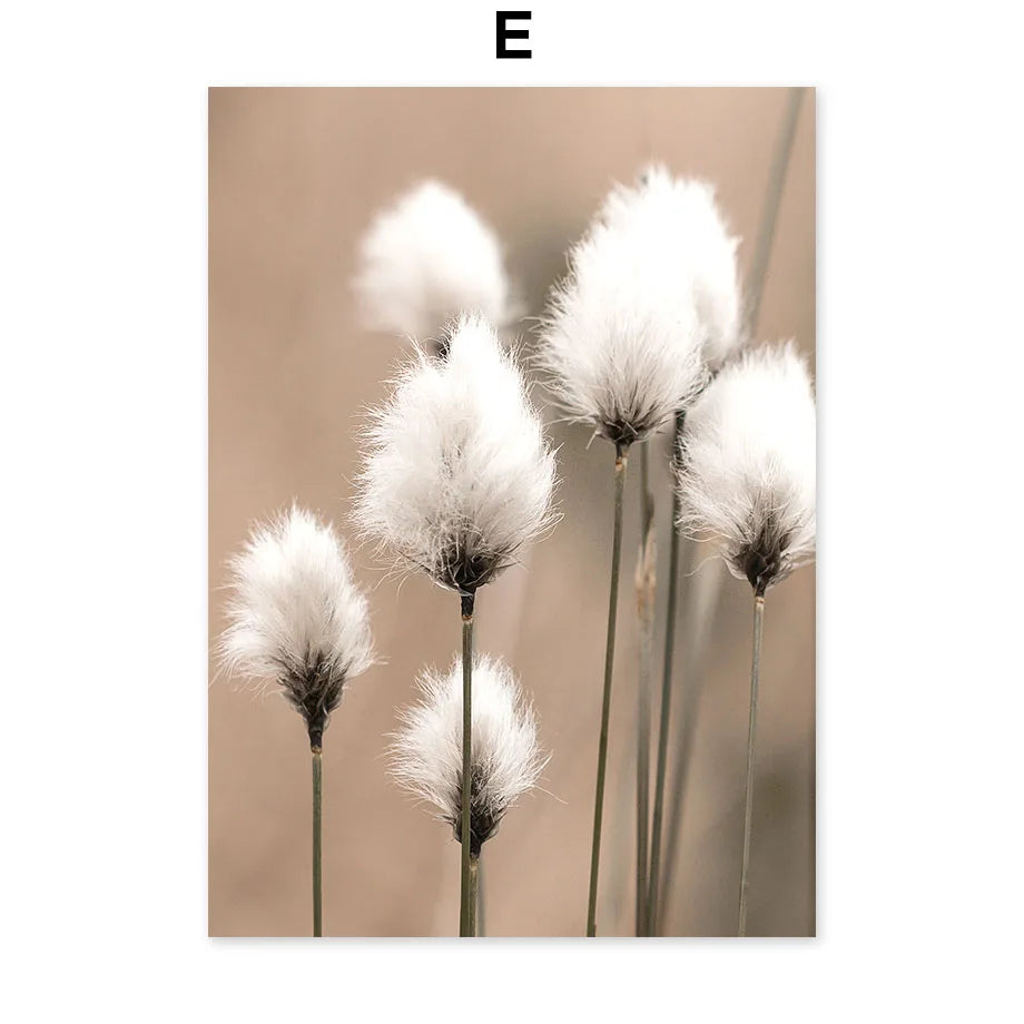 Des fleurs de coton aux fleurs soyeuses et délicates se dressent dans un champ.