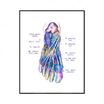 Cette image montre des nerfs et des muscles colorés d'un pied humain, avec des annotations anatomiques en latin. L'image est d'un style artistique et semble être une illustration scientifique détaillée de l'anatomie du pied.
