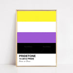 Affiche design épuré aux couleurs de la fierté arborant les logos Reachmani et l'inscription "Pridetone 14-2012 Pride, Love is Love".