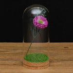 Vase cloche blanc avec base en bois vue de côté