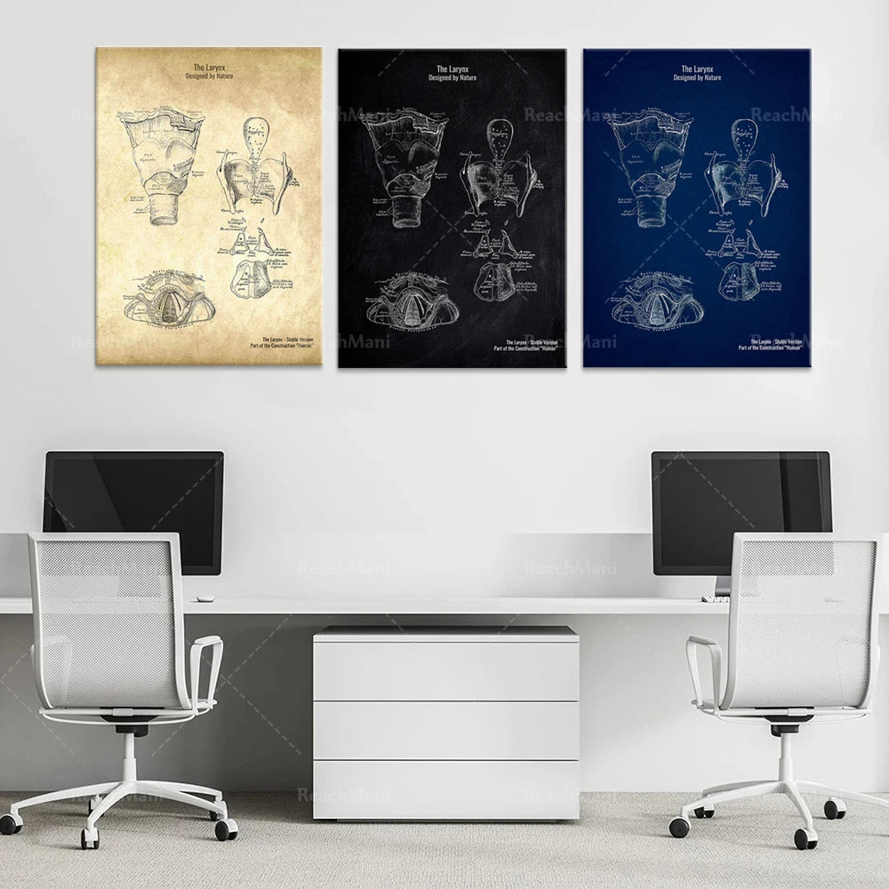 Des affiches encadrées avec des schémas détaillés d'un équipement de plongée, avec un bureau moderne et minimaliste devant elles.