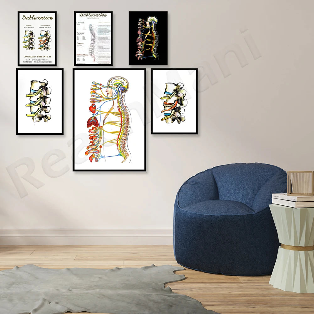 Cette image montre une sélection d'affiches anatomiques colorées exposées sur un mur, représentant différentes parties du corps humain. Un fauteuil confortable et des livres sont également visibles dans la pièce, créant une atmosphère propice à l'apprentissage et à la réflexion.