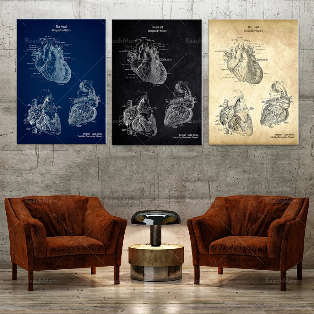 Des toiles murales vintage représentant l'anatomie détaillée du cœur, accentuées par deux fauteuils en velours rouille et une table basse en bois brut, créent une atmosphère chaleureuse et médicale dans cette pièce.