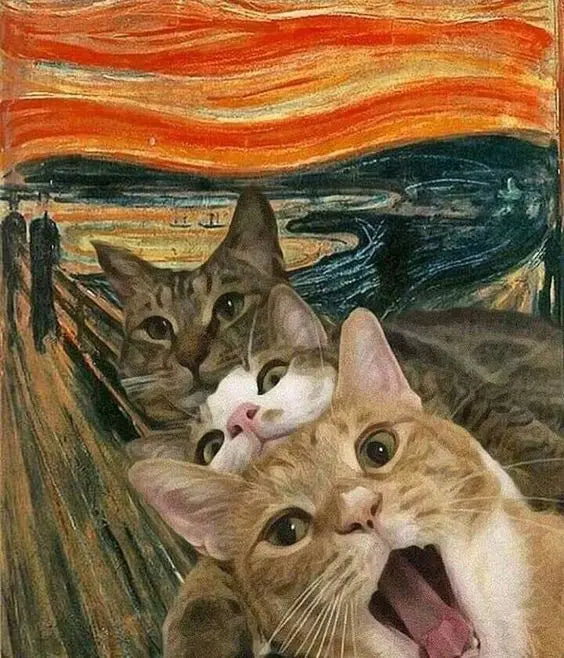 https://ae01.alicdn.com/kf/H47c0e5fe0f9e4b418ad4b842210395f39.jpg