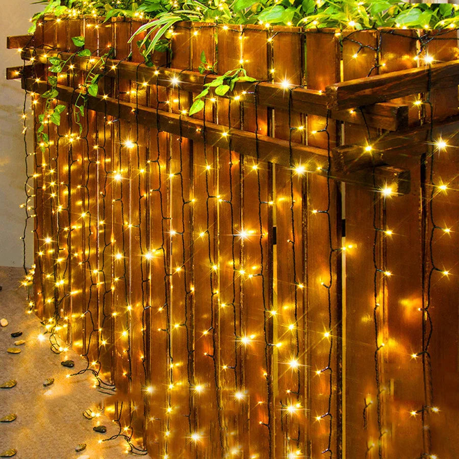 Détail des LED blanches chaudes sur la guirlande lumineuse extérieure