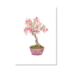 Un arbre en fleurs rose épanoui dans un pot rose.