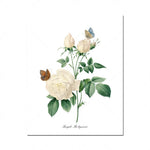 Bouquet de roses blanches avec papillons bleus, une délicate composition florale.