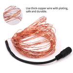 Adaptateur 12V avec interrupteur pour guirlande LED