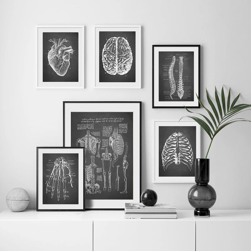 Tableau médical rétro pour décoration intérieure