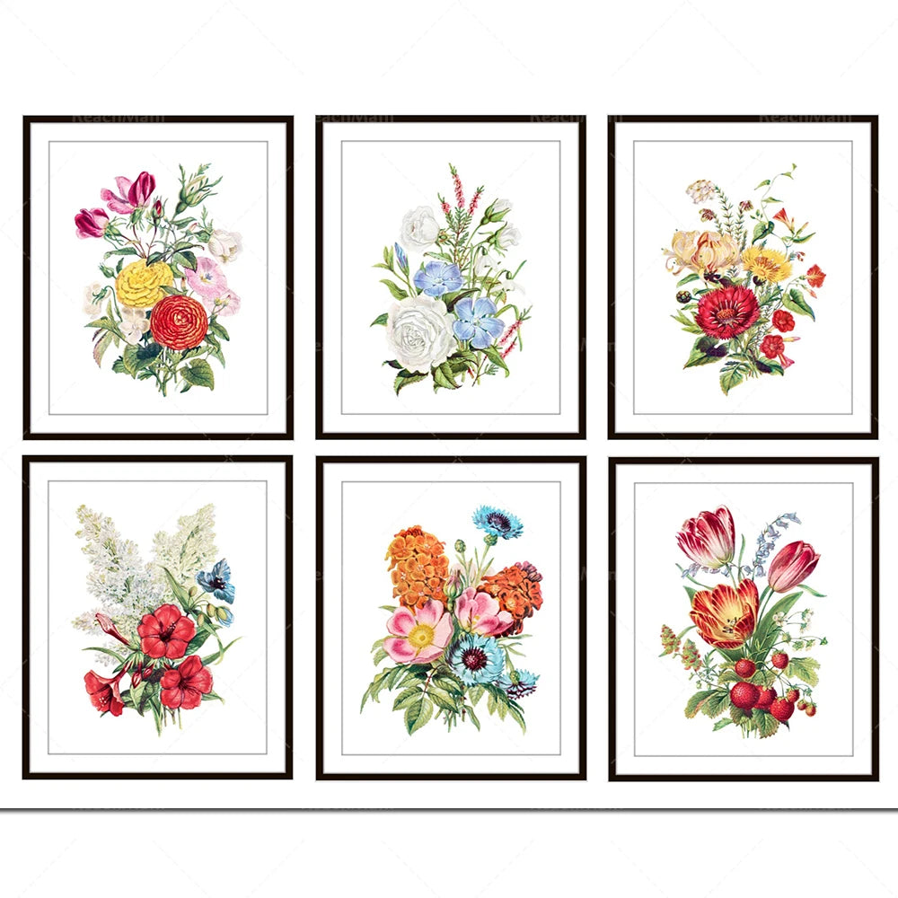 Une magnifique collection d'illustrations botaniques colorées et détaillées de fleurs variées, encadrées avec élégance.