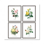 Quatres belles illustrations de roses d'époques vintage, chacune dans son propre cadre noir.