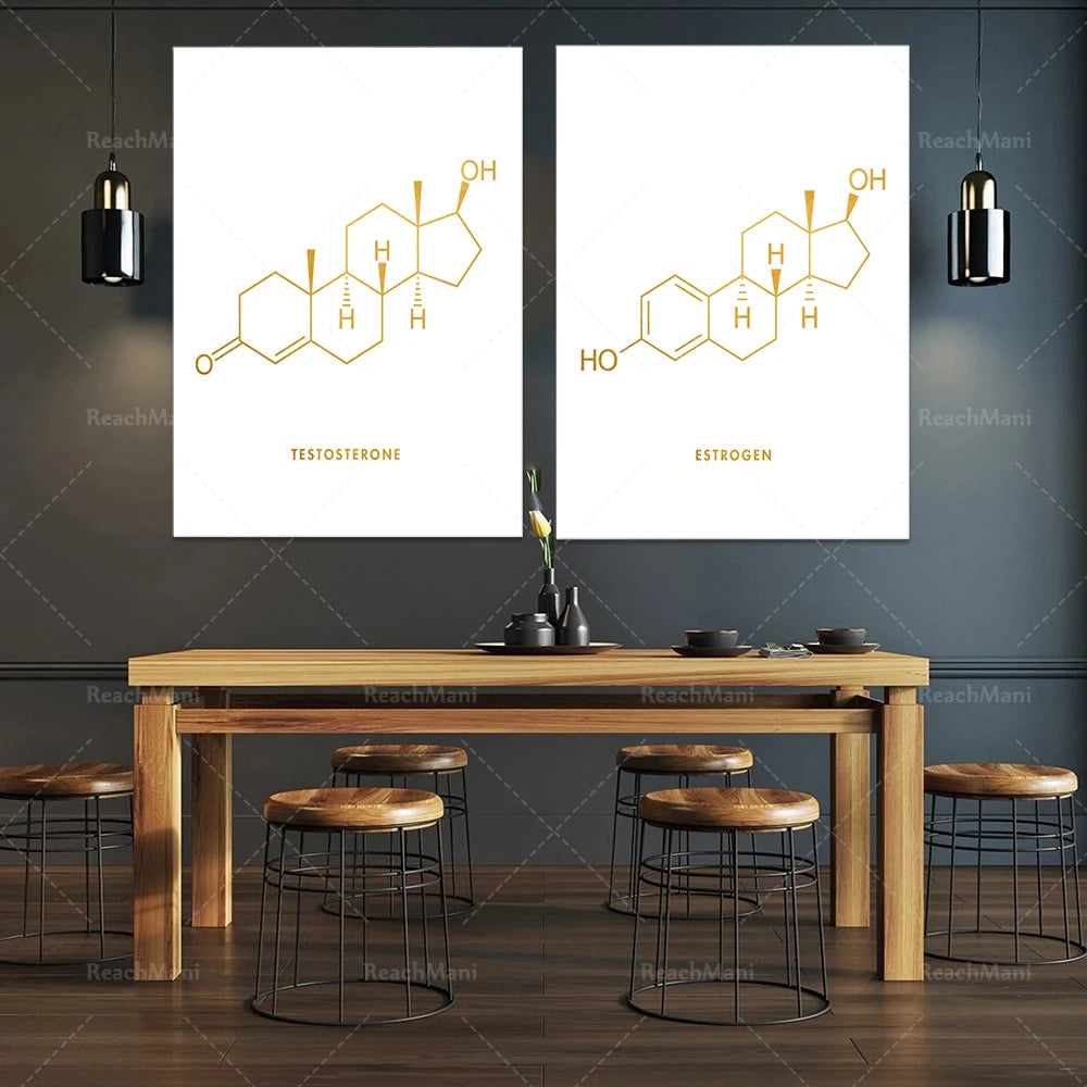 Des affiches suspendues sur le mur montrant les structures moléculaires de la testostérone et de l'œstrogène surplombent une belle salle à manger avec une table en bois et des tabourets.