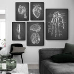 Détail squelette et organes impression sur toile