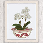 Des fleurs d'orchidée blanches épanouies dans un vase orné de motifs de dragon rouge.