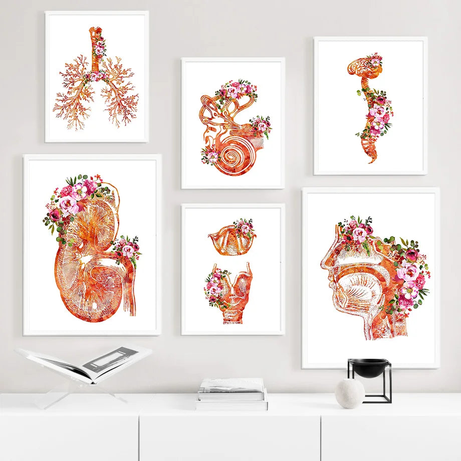 Affiches murales décoratives en couleurs vives représentant des images anatomiques florales, avec des détails organiques et botaniques.