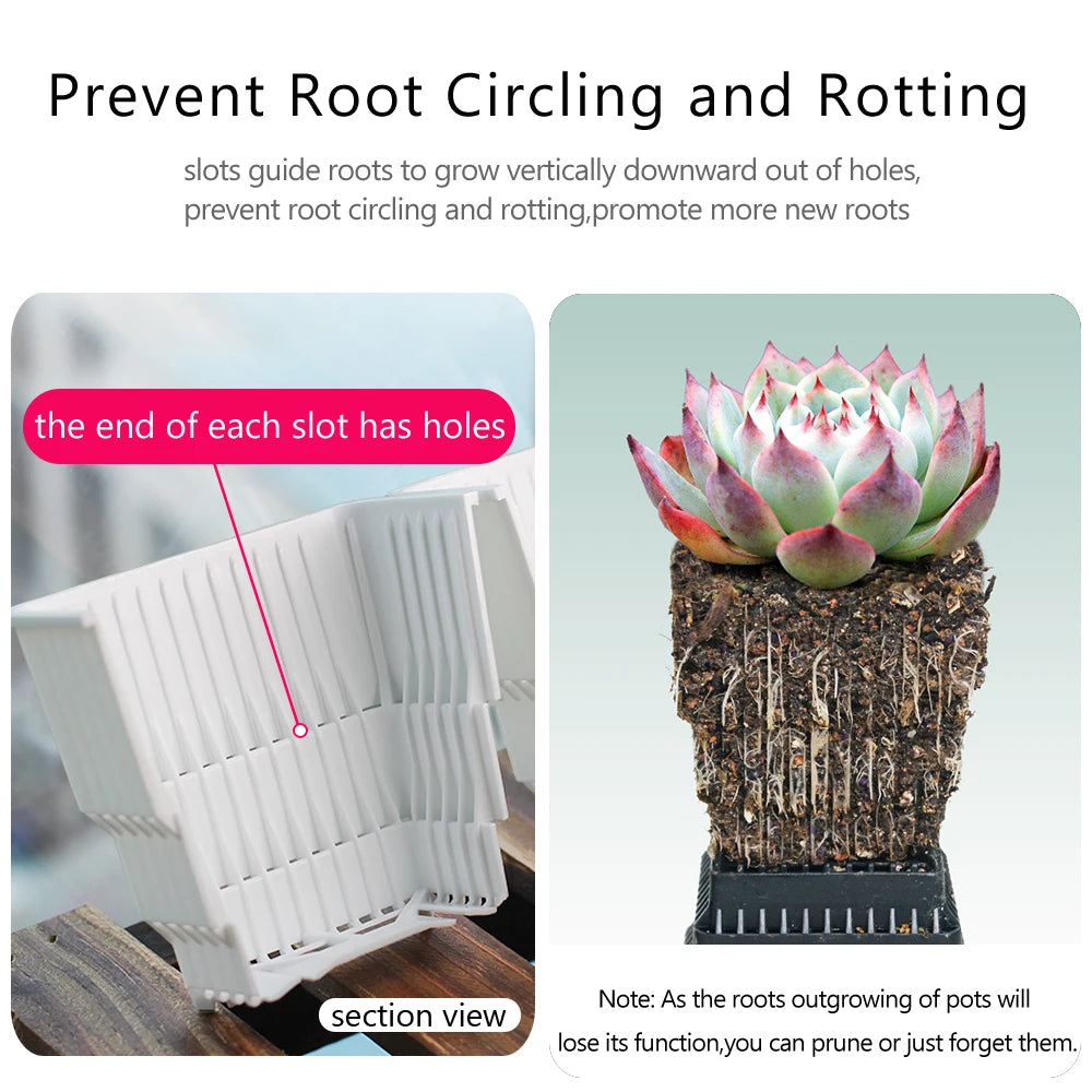 Pots de drainage pour plantes d'intérieur