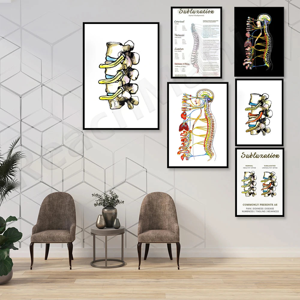 Un ensemble d'illustrations anatomiques colorées et détaillées du système nerveux, mettant en valeur les différents aspects de la colonne vertébrale et de la neurologie.