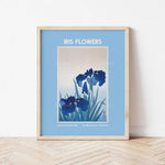 Cette image représente une affiche qui montre des fleurs d'iris bleus dans un style artistique, avec le titre "Iris Flowers" en grand. L'affiche fait référence à l'œuvre d'Ohara Koson, un artiste japonais du début du 20e siècle, et indique que l'image est conservée au Rijksmuseum d'Amsterdam.
