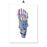 Illustration détaillée et colorée du squelette du pied humain avec des effets visuels abstraits.