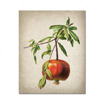 Une pomme rouge suspendue à une branche d'arbre verdoyante sur un fond texturé.