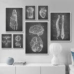 Tableau anatomie humaine en toile noire déco murale