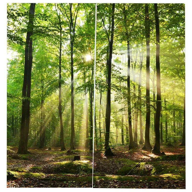 Tableau mural de décoration intérieure représentant une forêt verdoyante avec des rayons de soleil traversant les arbres, créant une ambiance apaisante et naturelle. Idéal pour ajouter une touche de nature à votre salon ou bureau. Capturant la beauté sereine d’un sous-bois, ce tableau est parfait pour créer un espace relaxant et harmonieux.