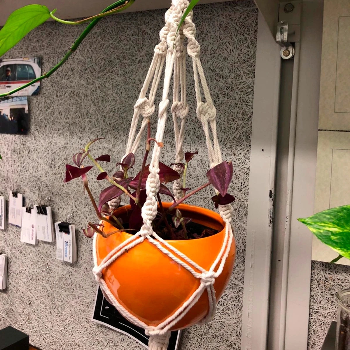 Décoration murale végétale avec pot macramé violet