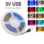Bande lumineuse flexible COB haute densité