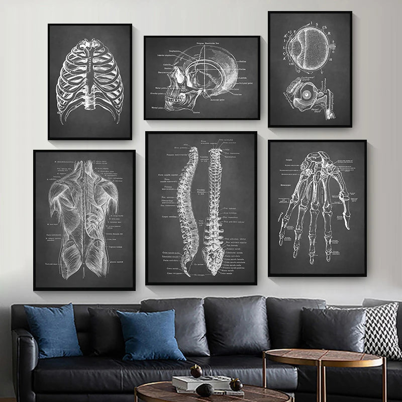 Toile anatomie humaine dans un salon moderne