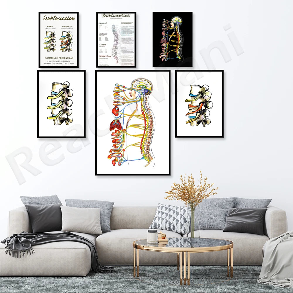 Des illustrations colorées de la colonne vertébrale et du système nerveux central, encadrées, ornent le mur de cette pièce chaleureuse et élégante.