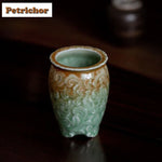Vase céladon en relief blanc cache-pot créatif pour plantes d'intérieur