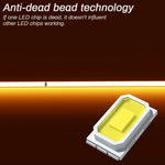 Bande LED COB 12V 24V avec variateur