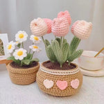 Kit crochet débutant fraise
