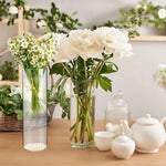 Ensemble de vases cylindriques en verre transparent de différentes tailles