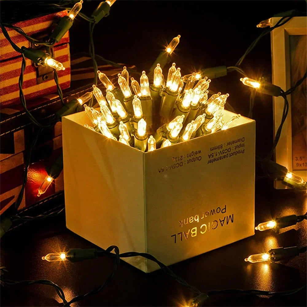 Détail des ampoules LED multicolores de la guirlande