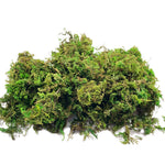 Mousse artificielle rotin vert pour centre de table exterieur