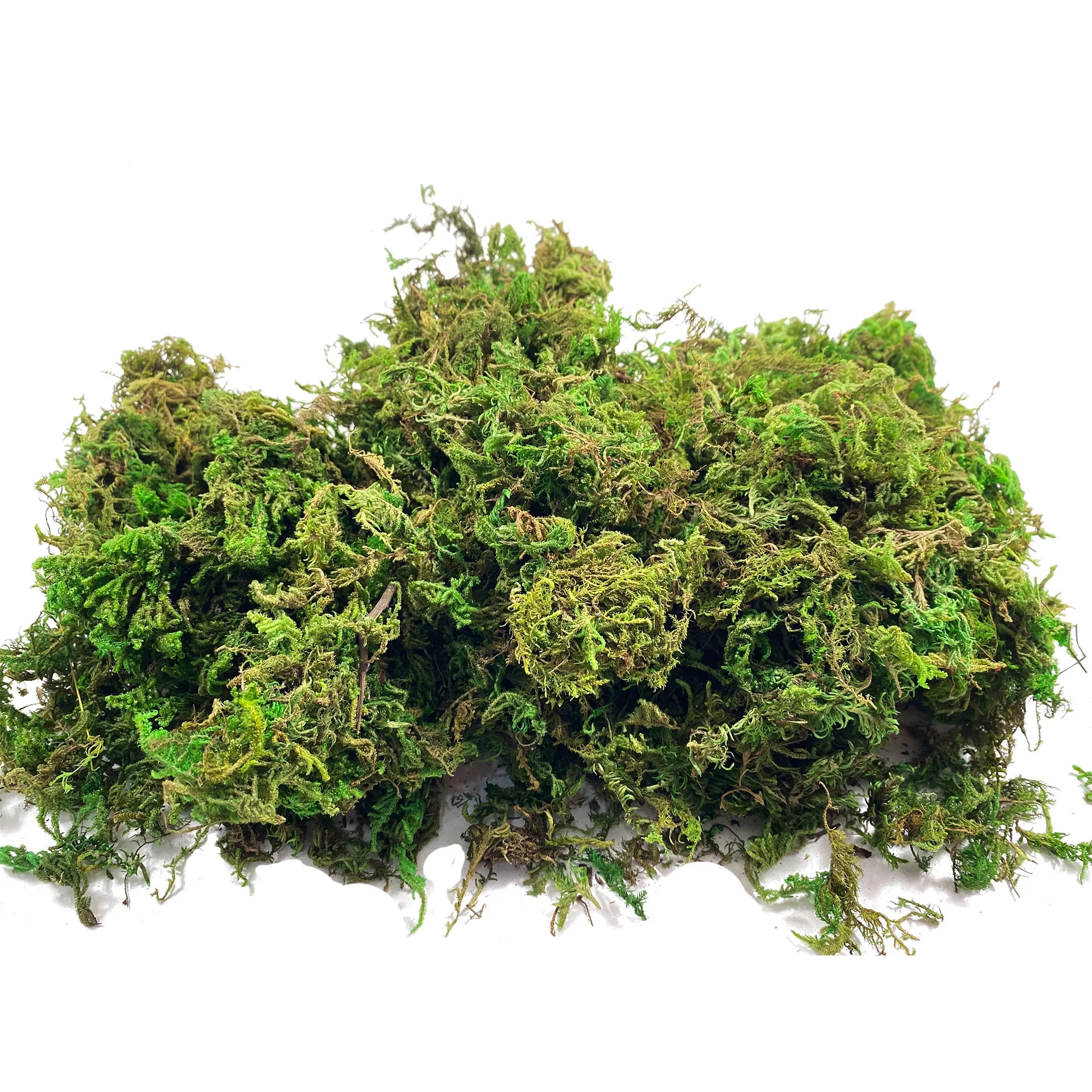 Mousse artificielle rotin vert pour centre de table exterieur