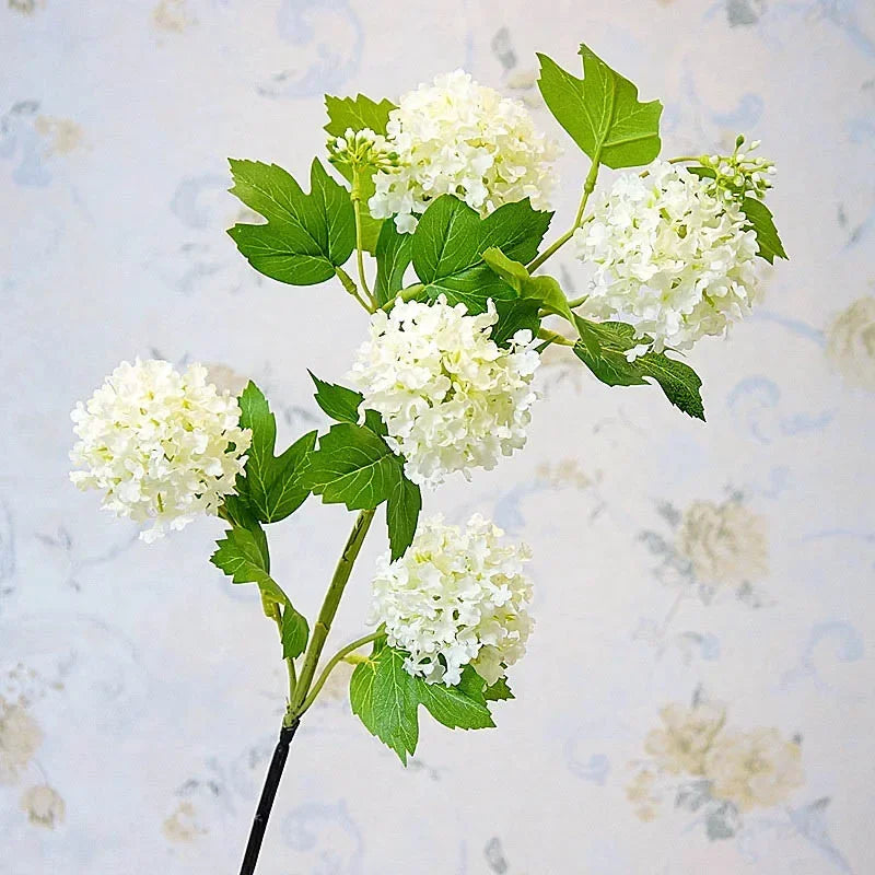 Branche hortensia blanc dans vase décoration chambre