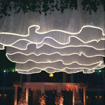 Guirlande lumineuse LED pour fête ambiance féerique
