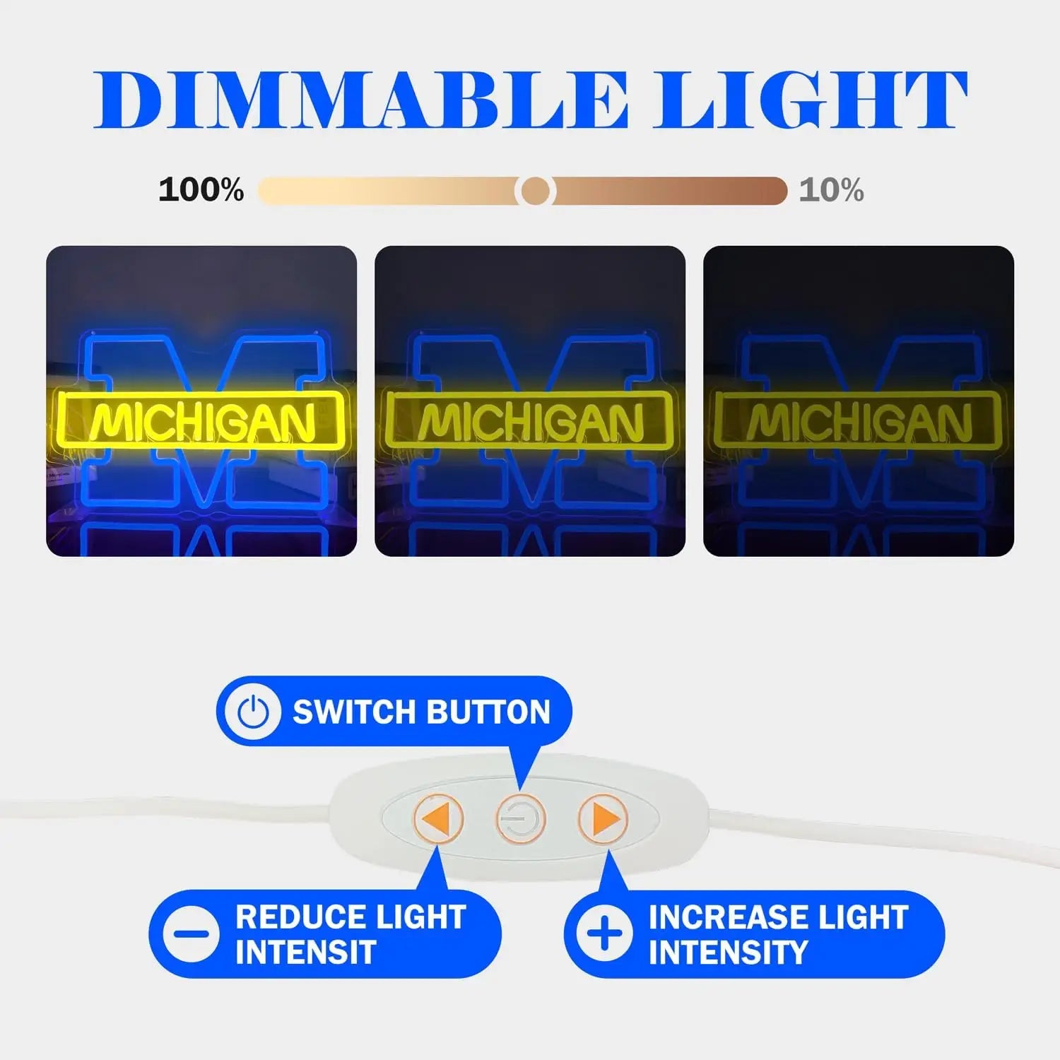 Détail de l'enseigne lumineuse Michigan avec éclairage multicolore RGB