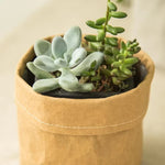Jardinière en papier kraft réutilisable
