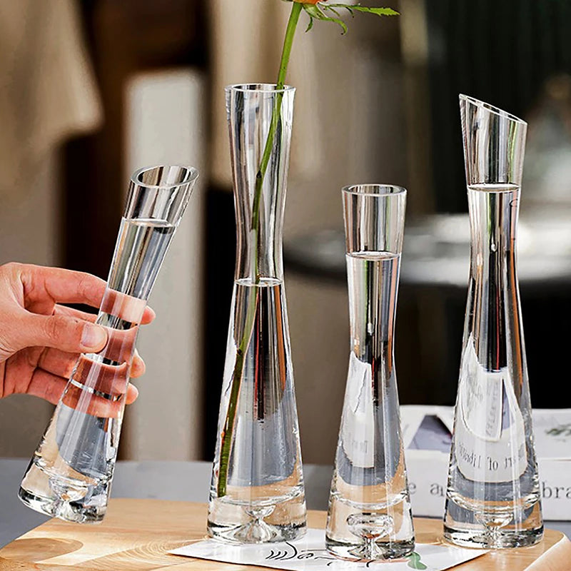 Vase en verre pour plantes hydroponiques avec succulentes dans un salon moderne