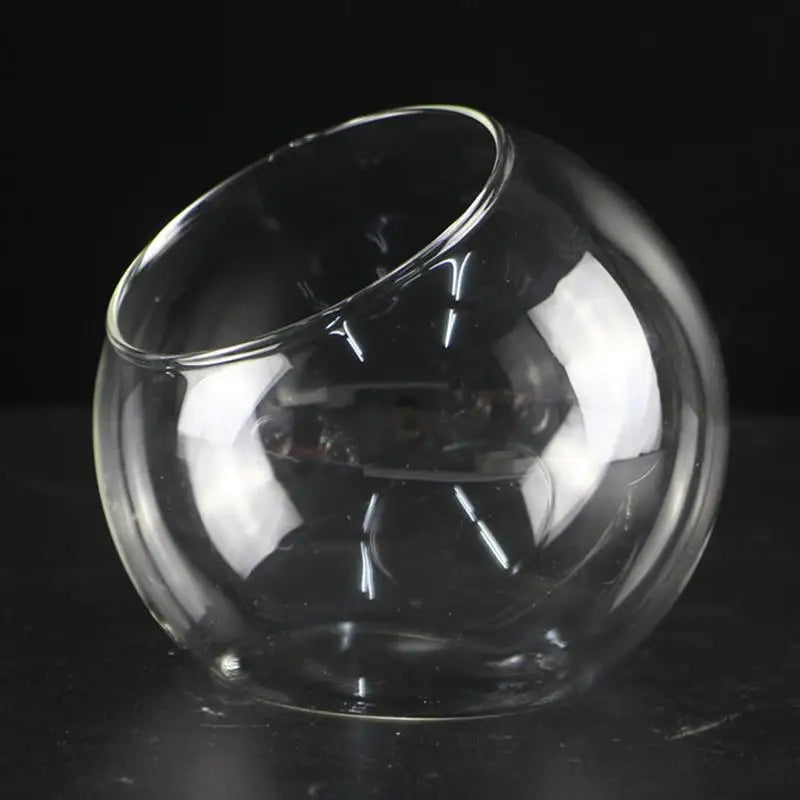 Terrarium en verre de 16 cm avec composition végétale