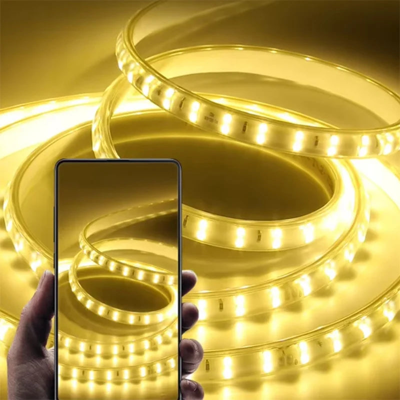 Bande LED allumée en bleu pour une décoration extérieure moderne